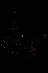 Buurt-kerstboomfeest Joggerspad