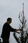 Buurt-kerstboomfeest Joggerspad