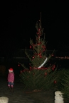 Buurt-kerstboomfeest Joggerspad