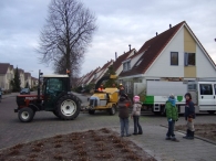 Kerstbomen Versnipperen