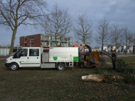 Kerstbomen Versnipperen
