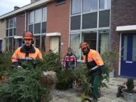 Kerstbomen Versnipperen