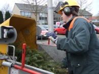 Kerstbomen Versnipperen