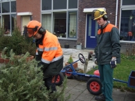 Kerstbomen Versnipperen