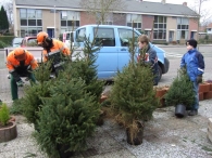 Kerstbomen Versnipperen
