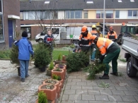 Kerstbomen Versnipperen