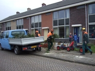Kerstbomen Versnipperen
