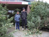 Kerstbomen Versnipperen