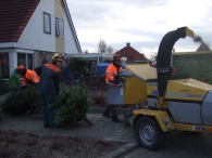 Kerstbomen Versnipperen