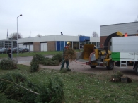 Kerstbomen Versnipperen