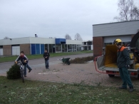 Kerstbomen Versnipperen