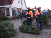 Kerstbomen Versnipperen