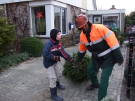 Kerstbomen Versnipperen