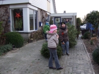 Kerstbomen Versnipperen