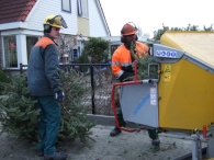 Kerstbomen Versnipperen