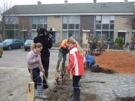 Boomplantdag 2009