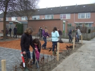 Boomplantdag 2009