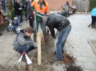 Boomplantdag 2009