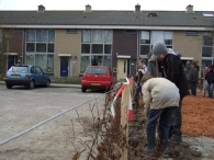 Boomplantdag 2009