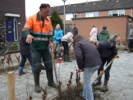 Boomplantdag 2009