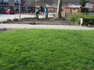 Boomplantdag 2009