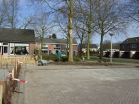 Boomplantdag 2009