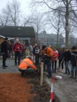Boomplantdag 2009
