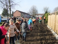Boomplantdag 2010