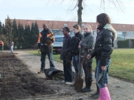 Boomplantdag 2010