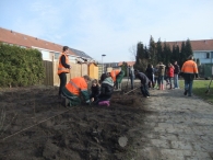 Boomplantdag 2010