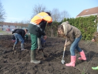 Boomplantdag 2010