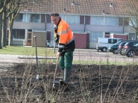 Boomplantdag 2010