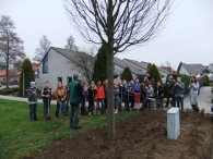 Boomplantdag