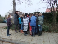 Boomplantdag
