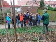 Boomplantdag