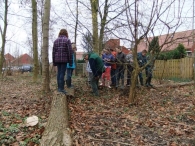 Boomplantdag