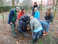 Boomplantdag