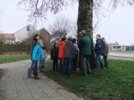 Boomplantdag