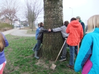 Boomplantdag