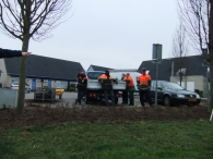 Boomplantdag