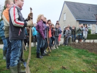 Boomplantdag