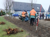 Boomplantdag