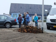 Boomplantdag
