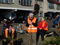 Boomplantdag
