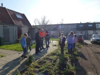 Boomplantdag