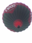 Winnaars ballonvlucht