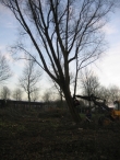 Start renovatie winkelcentrum