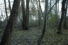 Start renovatie winkelcentrum (2)