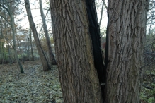 Start renovatie winkelcentrum (2)