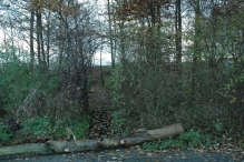 Start renovatie winkelcentrum (2)